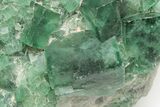 Green, Fluorescent, Cubic Fluorite Crystals - Madagascar #210470-5